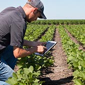 Agriculture connectée