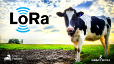 Semtech Announces LoRaWAN® Integration for Smart Paddock’s Smart Cattle Tracking Solution