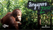 Semtech and Sindcon Bring Smart Metering to the Singapore Zoo With LoRaWAN®