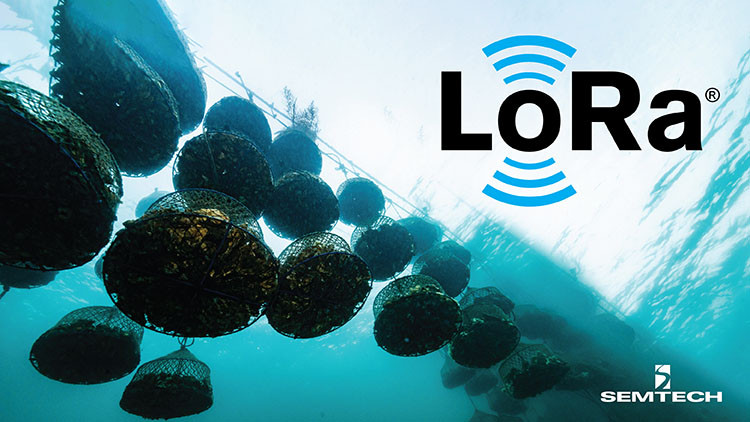 Semtech Announces Integration of LoRaWAN® In ICT International’s Oyster Farming Solution
