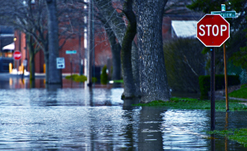 SAS Flood Prediction